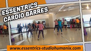 ESSENTRICS CARDIO BARRES AVEC SUZIE MATTE [upl. by Loftis]