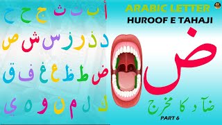 Harf e Hafiyah  Makhraj Series   ض کا مخرج   Makhraj of ض   Arabic Letters   Tahaji [upl. by Alomeda39]