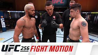 UFC 256 Fight Motion [upl. by Yuk752]