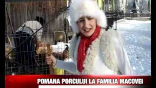 Pomana porcului la familia Macovei [upl. by Yrrak]