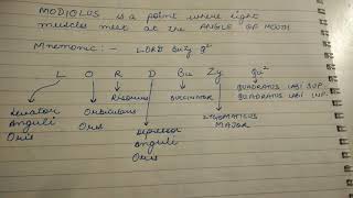 Trick to memorize all muscles of modiolus [upl. by Elac]