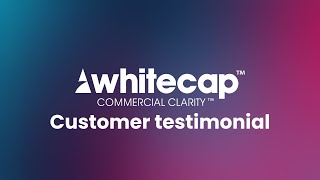 Whitecap Consulting x The Data City testimonial [upl. by Daile964]