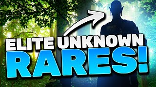 10 INSANE RARE CHAMPS NOBODY TALKS ABOUT Invest [upl. by Barber]