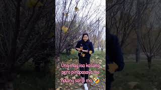 Bakla met gayam guitar shorts ytshorts nature china china youtube fyp subscribe trending [upl. by Hobbie229]