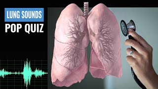 Name that Lung Sound Lung Sound Quiz  NCLEX REVIEW [upl. by Nazay]