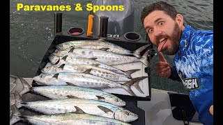 Moreton Bay School Mackerel  Trolling Paravanes amp Spoons [upl. by Iddet]