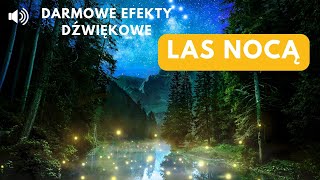 Odgłosy lasu nocą 🌲🌙Relaksująca noc w lecie na dobry sen 🔈 [upl. by Nrobyalc]