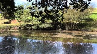 EAST KITCHAM FARM ST GILES ON THE HEATH NEAR LAUNCESTON CORNWALL [upl. by Accebber]