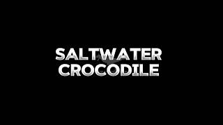 Saltwater Crocodile Edit Edit crocodile prehistoricanimal [upl. by Hiroshi]