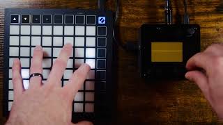 Monome Norns Shield  Launchpad Llll script [upl. by Livi]