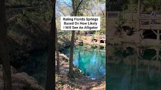 📍Alligators In The Florida Springs alligator floridasprings floridatravel floridalife [upl. by Warwick55]