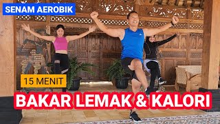 15 MENIT BAKAR LEMAK amp KALORI  AEROBIK SUPER GOBYOSS [upl. by Desdemona]