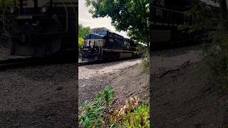 Hotshot Intermodal Flying Through The Forest railroad railfan train [upl. by Derman]