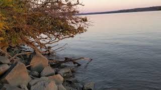 The Potomac River on the VA side MD in the distance The sun sets on Nov 2 2024 [upl. by Nath10]