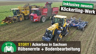 Agrarbetrieb SaatGut Plaußig Teil 4 Rübenernte  John Deere 8RX  Köckerling Vector m Boxer [upl. by Tengler150]