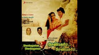 Vasalile  Shenbagame Shenbagame  S PBalasubramaniyam  S Janaki  Ilayaraaja  Audio CD Song [upl. by Reeba561]