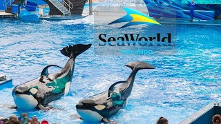 Seaworld Whale Show  One Ocean [upl. by Auberbach]