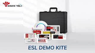 MinewTag ESL Demo Kite Unboxing [upl. by Jobey778]