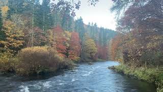 Galashiels Scotland CheeringupTV Channel Galashiels Scotland AutumnLeaves [upl. by Notirb634]