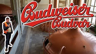 Как мы на Budweiser Budvar ходили Экскурсия на пивоварню Чешские заметки Часть 4 [upl. by Ennahtur872]