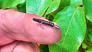 Crappie Fishing From The Bank With A Microscopic Jig [upl. by Leighland]