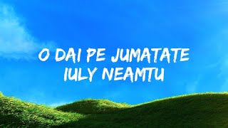 Iuly Neamtu  O dai pe jumatate  Versuri [upl. by Feriga]