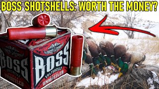 BOSS Shotshell Review and Unboxing  Best Shells EVER [upl. by Noevad921]