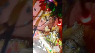 HAPPY DIWALI 🎇🪔laddugopal diwali youtubeshorts bristiofficial3068 [upl. by Davine]