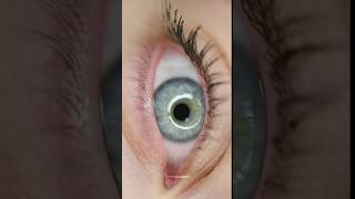 Healthy Eyes Test facts factscience factsinhindi factsdaily sciencfacts eyes fact shorts [upl. by Jandy702]