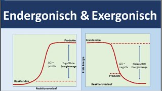 Richtung spontaner Vorgänge  Gibbssche Energie Exergonische amp Endergonische Reaktion  Chemie [upl. by Auj]