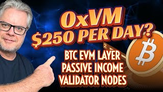 0xVM Bitcoin EVM Crypto Daily Passive Income [upl. by Meill]