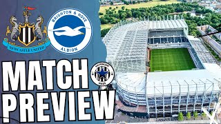 NEWCASTLE UNITED VS BRIGHTON MATCH PREVIEW [upl. by Neroled]