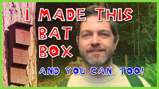 How I Made a BAT BOX [upl. by Astrid]