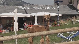 Urlaub am Gardasee  Italien Neufassung von tubehorst1 [upl. by Estel503]