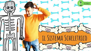 IL SISTEMA SCHELETRICO  Le scienze spiegate ai bambini di scuola primaria [upl. by Sascha218]