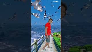 bhojpuri song newsong love mvideo mvideoappninitish [upl. by Welford837]