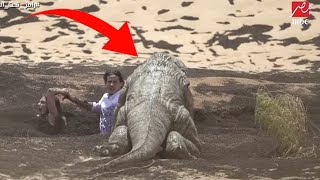 5 Últimas fotos y Videos de Animales Actualmente Extintos [upl. by Hgielyak]