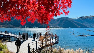 Nikko Autumn in Japan [upl. by Akeihsal67]