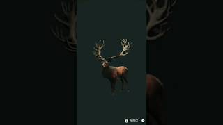 270 red deer diamond gaming cotw hunting thehuntercallfthewild [upl. by Llenrahc997]