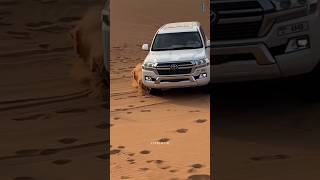 Why people use land cruiser in Desert shorts [upl. by Emalia]