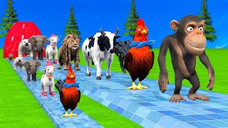 Paint amp Animals CowMonkeyBearChikenLionElephant Fountain Crossing Transformation Animal Cartoon [upl. by Bondon]