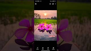 Gcam Lmc 84r17 🔥 Lmc 84 config file download  lmc 84 camera lmc photography gcam [upl. by Nauhs145]