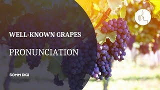 WINE GRAPE VARIETIES  How to pronounce wine grapes Wine Pronunciation [upl. by Francoise281]