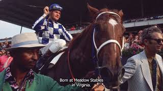 Secretariats Legendary Triple Crown Victory Relive the 1973 Belmont Stakes [upl. by Ellesor]