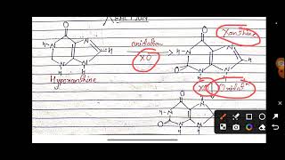 Xanthine Oxidase Enzyme MSc Chemistry [upl. by Riancho]