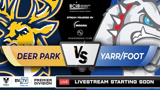 Rd 9  DEER PARK v YARRAVILLE FOOTSCRAY  Metro Premier Season 202324 [upl. by Nagirrek]