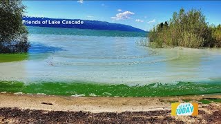 Beware of Toxic Algae in Idaho Waters [upl. by Aicirtak639]