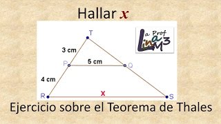 Teorema de Thales  Proporcionalidad  La Prof Lina M3 [upl. by Lenor583]