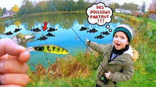 on pêche TROP de POISSONS dans cet ÉTANG  ça devient dingue    pêche au leurre  surprise [upl. by Varin]