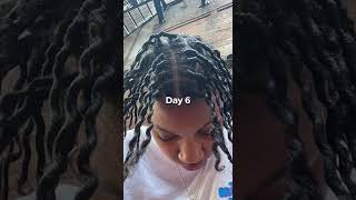 Starter Locs Comb Coils 2weeks [upl. by Bartle960]